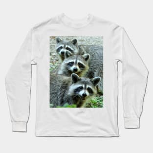 Three Raccoon Long Sleeve T-Shirt